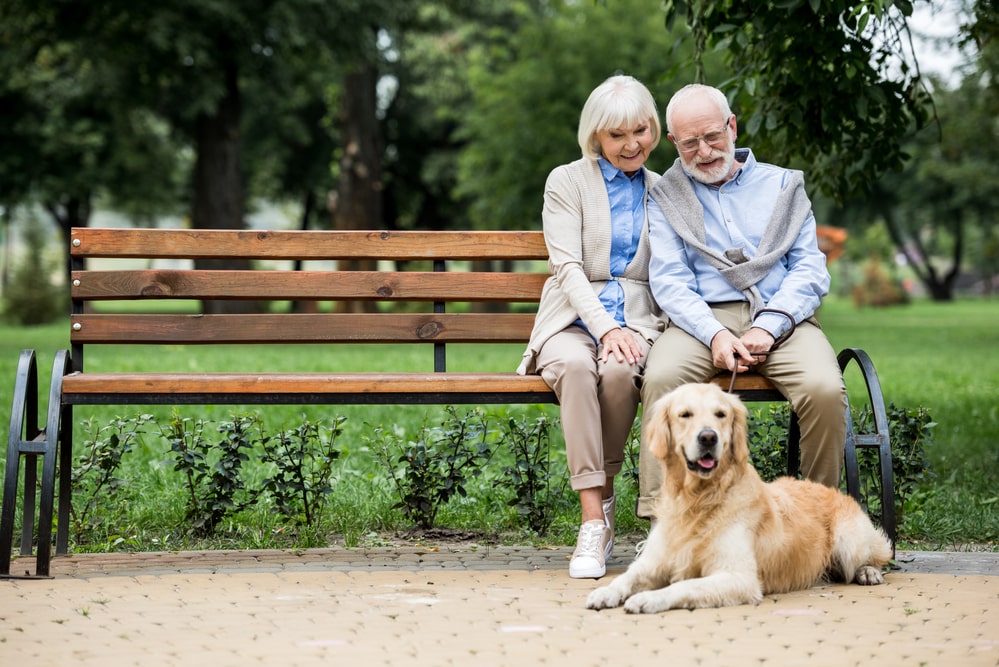 Senior couple sitting on bench in park with golden retriever dog